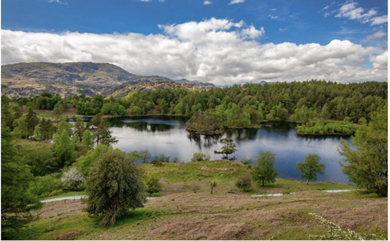 Tarn Hows lake surrounded by woodland and fells under a bright blue sky